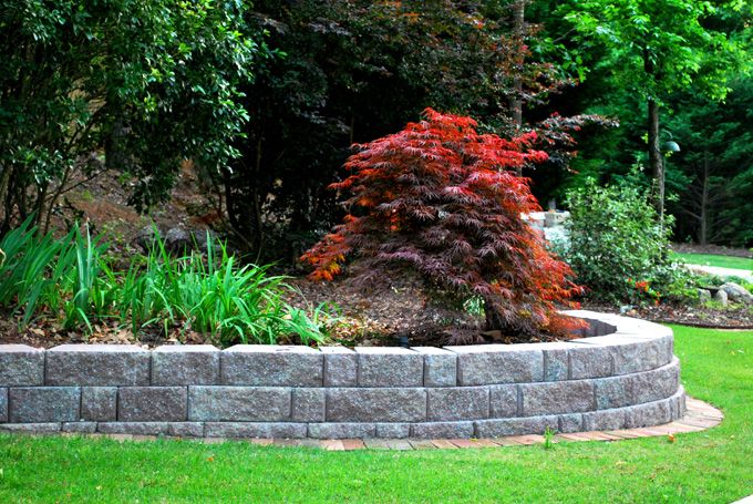Low maintenance landscape with retaining wall supporting a Wisteria plant