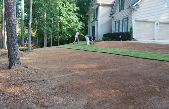 grass planting