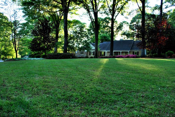 Heavily shaded Zoysia lawn