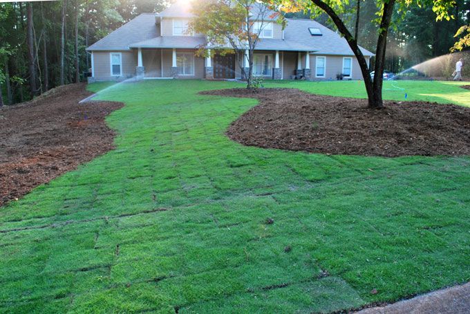 Freshly installed sod with visible edges. Its a quilt of pieces from various locations in the farms field. It will all look great after 1st mowing