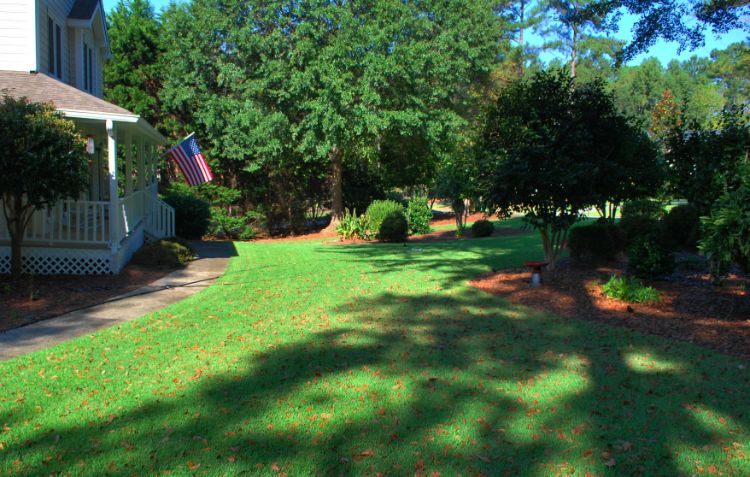 New sodded lawn in the backyard of a residential house with American flag.