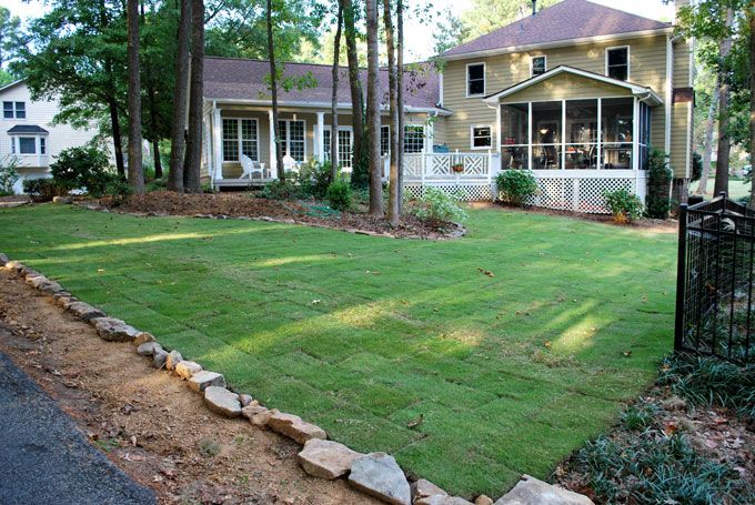 Freshly installed emerald Zoysia.