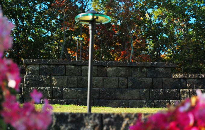 path lights installed near blooming colorful flowers