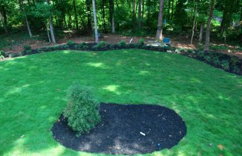 Zoysia bordered by liriope.