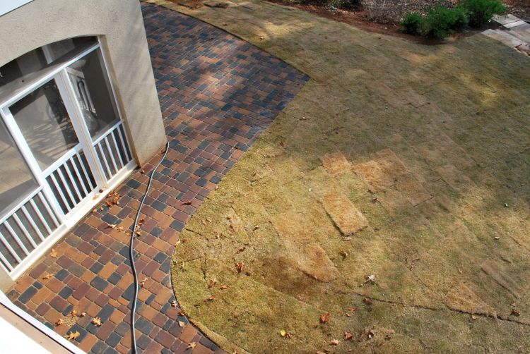 colorful paver and freshly sodded lawn