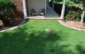 paver edging separating lawn from mulch and plants