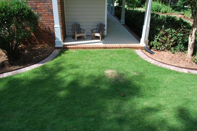 paver edging separating lawn from mulch and plants