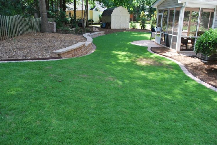 Backyard with a retaining wall and sod