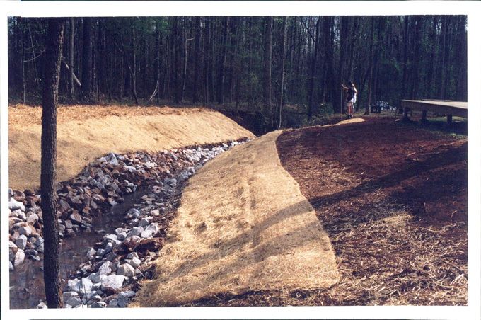 relocated creek bed