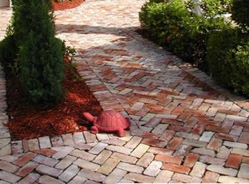 clay brick paver